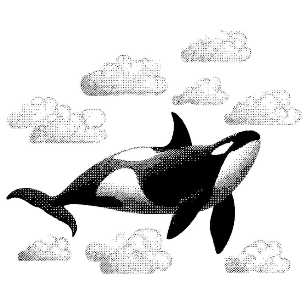 Orca illustration